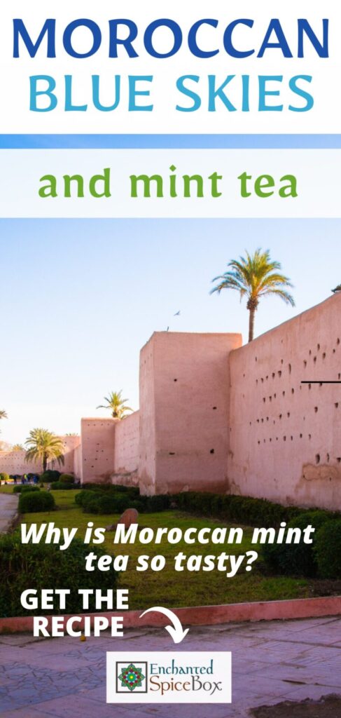 MoroccanMintTea4